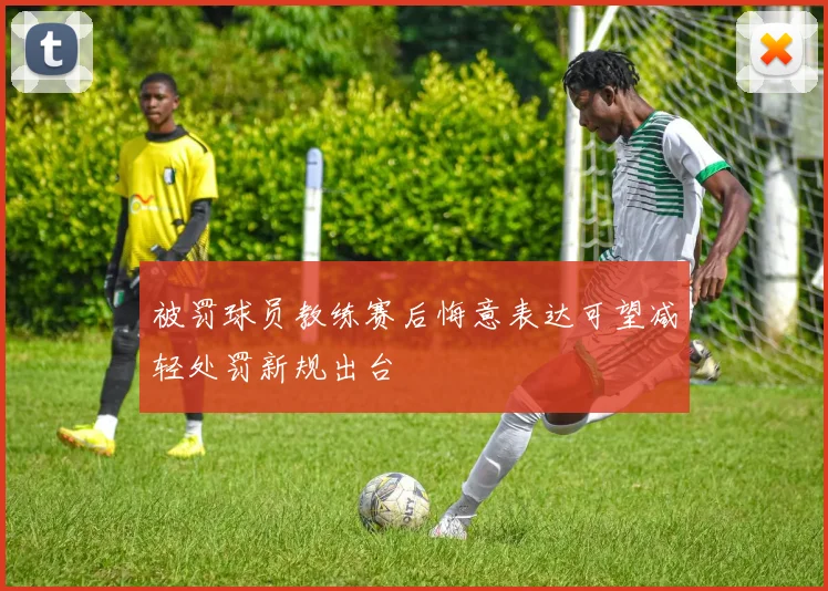 被罚球员教练赛后悔意表达可望减轻处罚新规出台
